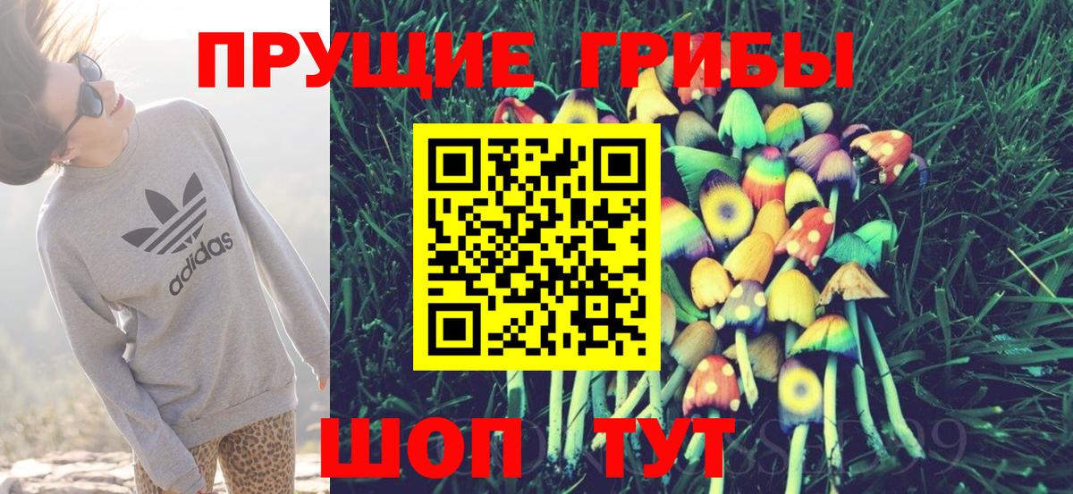Галлюциногенные грибы GOLDEN TEACHER Гурьевск