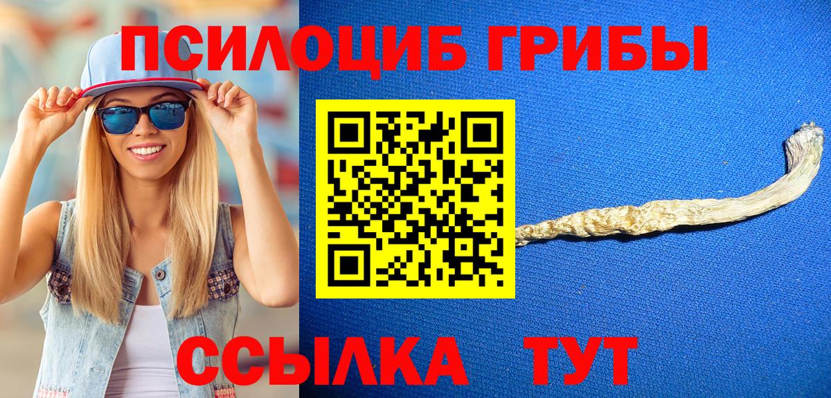 Псилоцибиновые грибы Cubensis  Псилоцибиновые грибы мухоморы  Вход с VPN  Гурьевск 